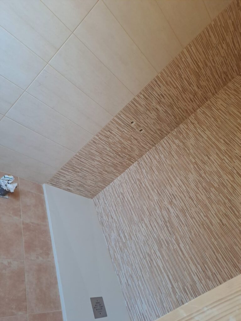 Reforma de baño en Cartelle (Ourense)